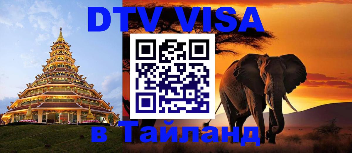 Сколько стоит DTV виза — актуальные цены, оформление даже без документов - Абу-Даби  19.11.2025 